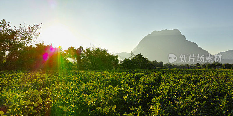 Doi Luang 山和清道。